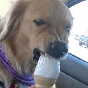 Meet your Posher, Curtis